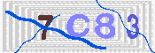 キャプチャ画像