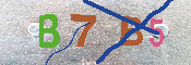 キャプチャ画像