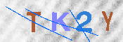 キャプチャ画像