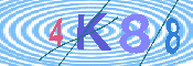 キャプチャ画像