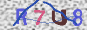 キャプチャ画像