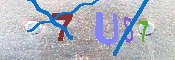 キャプチャ画像