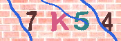 キャプチャ画像