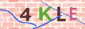 キャプチャ画像