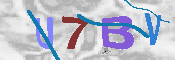 キャプチャ画像