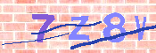 キャプチャ画像