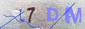 キャプチャ画像