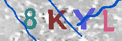 キャプチャ画像
