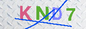 キャプチャ画像