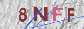 キャプチャ画像