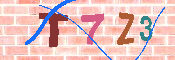 キャプチャ画像