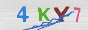 キャプチャ画像