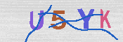 キャプチャ画像