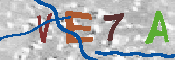キャプチャ画像