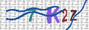 キャプチャ画像