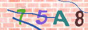 キャプチャ画像