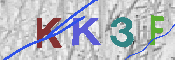 キャプチャ画像