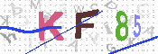キャプチャ画像