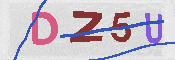キャプチャ画像