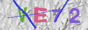 キャプチャ画像