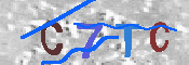 キャプチャ画像