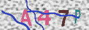 キャプチャ画像