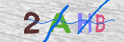 キャプチャ画像