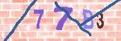 キャプチャ画像