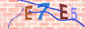 キャプチャ画像
