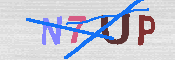 キャプチャ画像