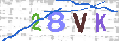 キャプチャ画像