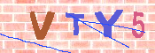 キャプチャ画像