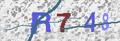 キャプチャ画像