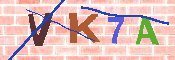 キャプチャ画像