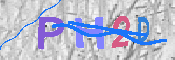 キャプチャ画像