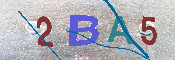 キャプチャ画像