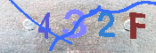 キャプチャ画像
