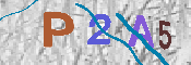 キャプチャ画像