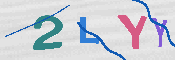 キャプチャ画像