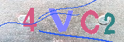 キャプチャ画像
