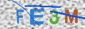キャプチャ画像