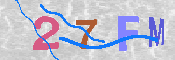 キャプチャ画像