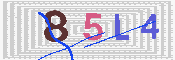 キャプチャ画像