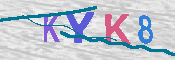 キャプチャ画像