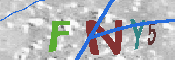キャプチャ画像