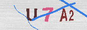 キャプチャ画像
