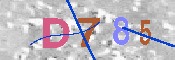 キャプチャ画像