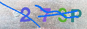 キャプチャ画像