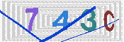 キャプチャ画像