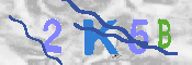 キャプチャ画像